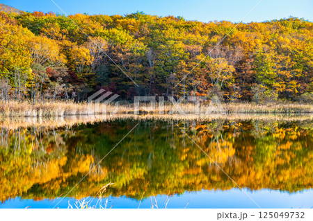 岩手 紅葉に染まる八幡平 ~水鏡の御在所沼~ 岩手 紅葉に染まる八幡平 ~水鏡の御在所沼~ 125049732