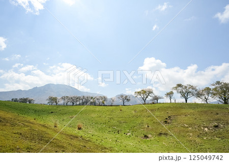 根子岳と桜の風景 根子岳と桜の風景 125049742