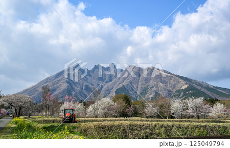 根子岳と桜の風景 根子岳と桜の風景 125049794