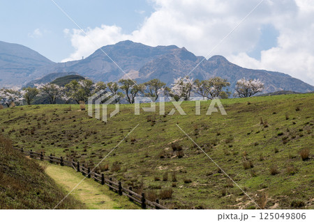 根子岳と桜の風景 根子岳と桜の風景 125049806
