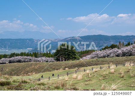 根子岳と桜の風景 根子岳と桜の風景 125049807