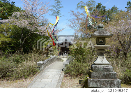 曼殊院　天満宮の境内　京都市左京区 125049847
