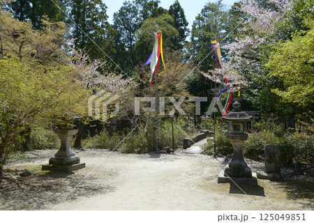 曼殊院　天満宮の境内　京都市左京区 125049851