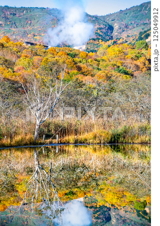 岩手 紅葉に染まる八幡平　～水鏡の赤沼～ 125049912