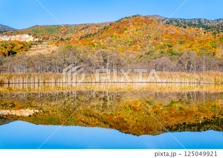 岩手 紅葉に染まる八幡平　～水鏡の赤沼～ 125049921