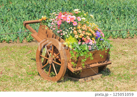 春の寄せ植え　花車 125051059