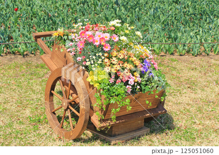 春の寄せ植え　花車 125051060