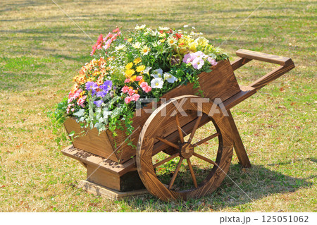 春の寄せ植え　花車 125051062