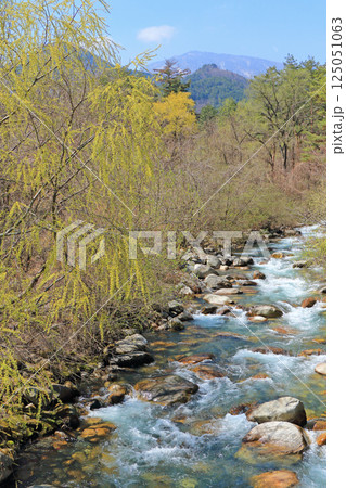 春の安曇野 烏川 春の安曇野 烏川 125051063