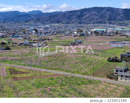 高子岡城跡から望む福島県北の桃畑 125051340