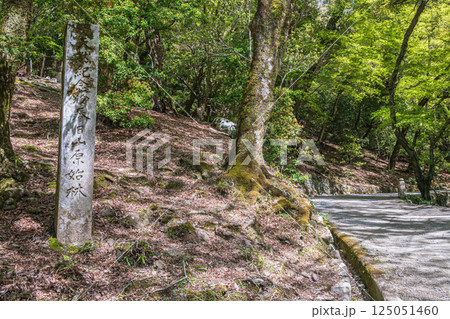 春日山原始林　奈良市 125051460