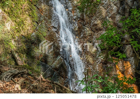 堰から流れ落ちる水　春日山原始林　奈良市　 125051478