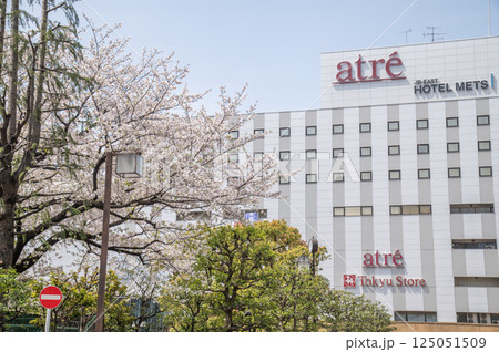 JR 京浜東北線 大森駅前の桜 東京都大田区大森北 JR 京浜東北線 大森駅前の桜 東京都大田区大森北 125051509