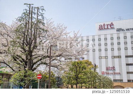 JR 京浜東北線　大森駅前の桜　東京都大田区大森北 125051510