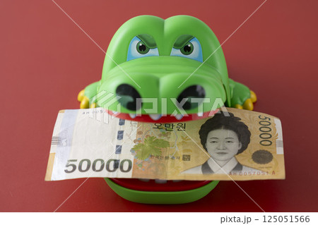 韓国のお金 ウォンとワニ 125051566