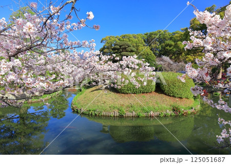 【佐賀県】晴天の小城公園の満開の桜 125051687