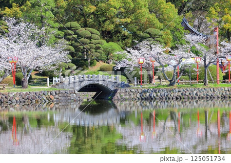 【佐賀県】晴天の小城公園の満開の桜 125051734