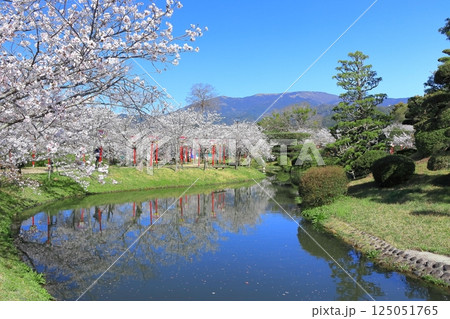 【佐賀県】晴天の小城公園の満開の桜 125051765