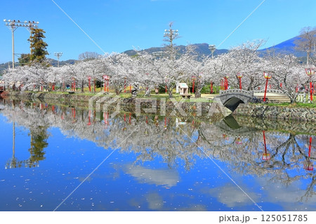 【佐賀県】晴天の小城公園の満開の桜 125051785