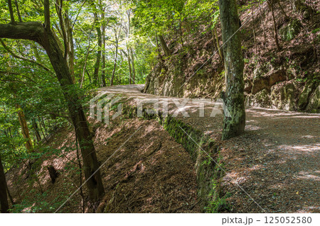 春日山原始林のハイキングコース　奈良市 125052580