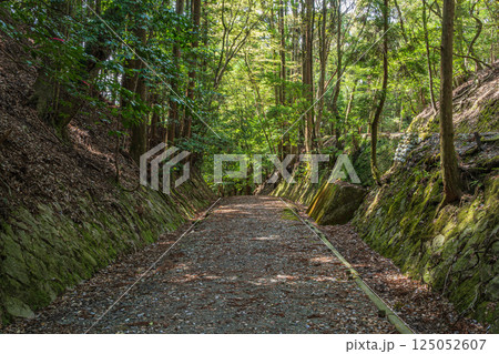 春日山原始林の中のハイキングコース 奈良市 春日山原始林の中のハイキングコース 奈良市 125052607