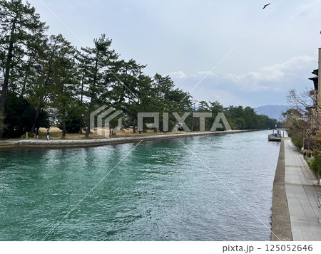 天橋立と松林 天橋立と松林 125052646