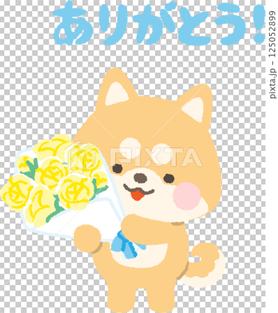 柴犬拿著一束黃色玫瑰 柴犬拿著一束黃色玫瑰 125052899