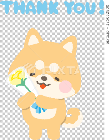 柴犬拿著一束黃色玫瑰 125052900