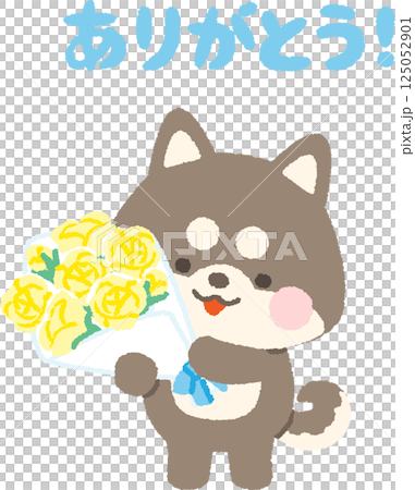 黑色柴犬拿著一束黃色玫瑰 125052901