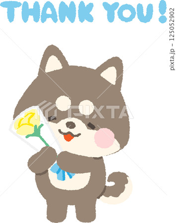 黄色いバラの花束を持つ黒い柴犬 125052902