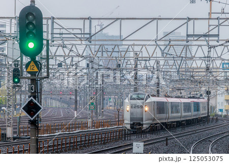 特急しおさい E259系 特急しおさい E259系 125053075
