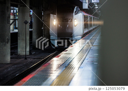 特急しおさい E259系 特急しおさい E259系 125053079