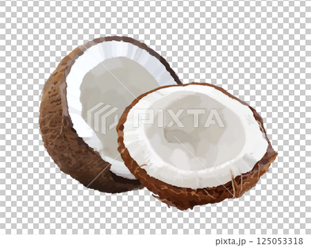 椰子果實（切塊） 125053318