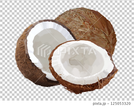 Coconut (2 pieces) 125053320