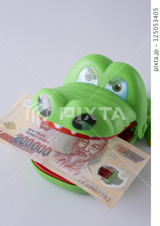 ベトナムの通貨 ドン 海外 旅行 取引 ベトナムの通貨 ドン 海外 旅行 取引 125053405