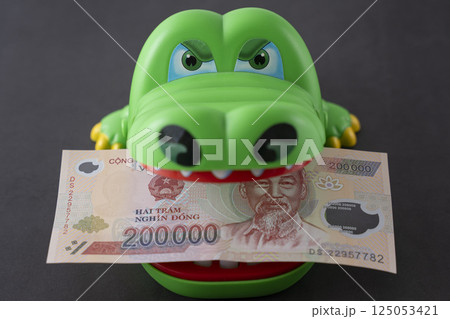 ベトナムの通貨 ドン 海外　旅行 取引 125053421