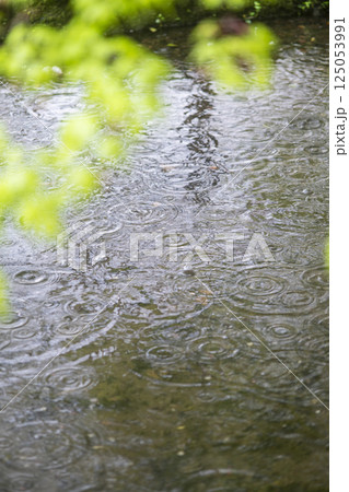 公園の池に広がる雨の波紋 公園の池に広がる雨の波紋 125053991