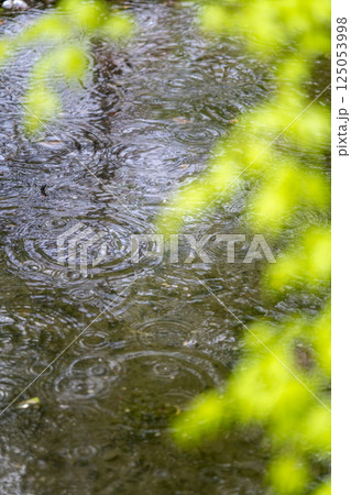 公園の池に広がる雨の波紋 125053998