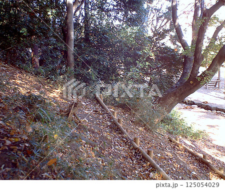 木々に囲まれた公園、秋の風景（セピア色） 125054029