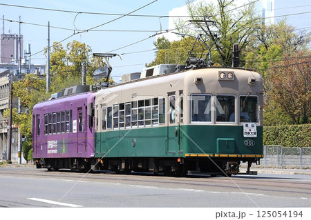 【嵐電】モボ301形+モボ501形(嵐山本線:山ノ内〜西大路三条) 【嵐電】モボ301形+モボ501形(嵐山本線:山ノ内〜西大路三条) 125054194