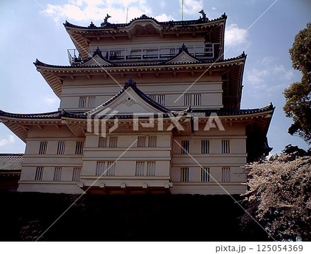 小田原城(2010年頃、修復前) 小田原城(2010年頃、修復前) 125054369