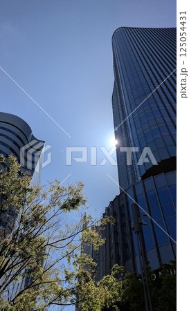 東京の街並み1　高層ビル群　日比谷 125054431