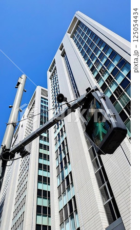 東京の街並み3　高層ビル群　日比谷 125054434