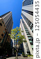 東京の街並み4　高層ビル群と街路樹 125054435