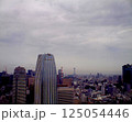 2009年頃の東京の風景 125054446