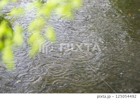 公園の池に広がる雨の波紋 125054492