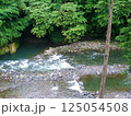 川、深い緑の木々が美しい秩父の風景 125054508