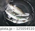 川で釣ったばかりの鮎 125054510