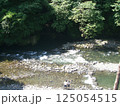 川、深い緑の木々が美しい秩父の風景 125054515