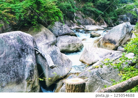 緑のある風景 緑のある風景 125054688